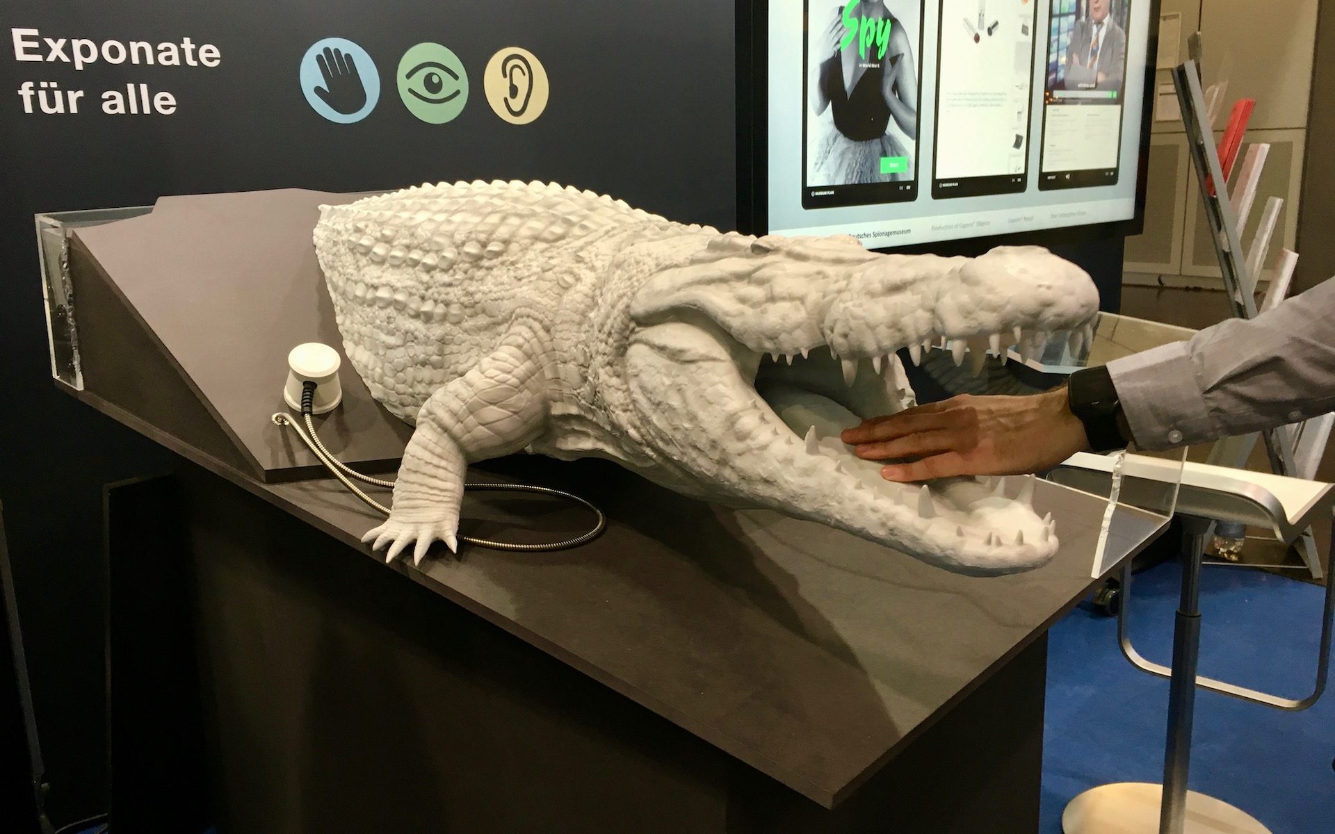 Voll-3D-Modell eines Krokodils mit Audiofeedback