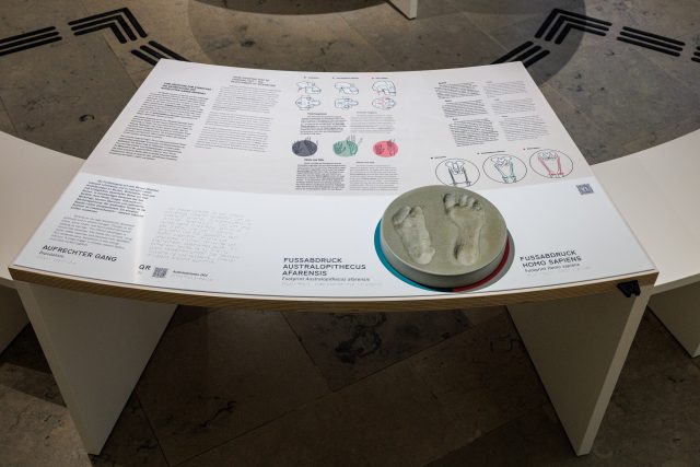 Ansicht eines Ausstellungstisches mit Fußabdrücken eines Urmenschen.