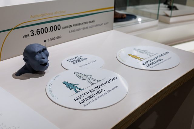 Grafiken in taktiler Umsetzung und Beschriftungen mit Braille und Pyramidenschrift