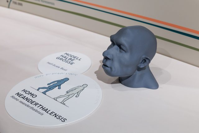 Grafiken in taktiler Umsetzung und Beschriftungen mit Braille und Pyramidenschrift