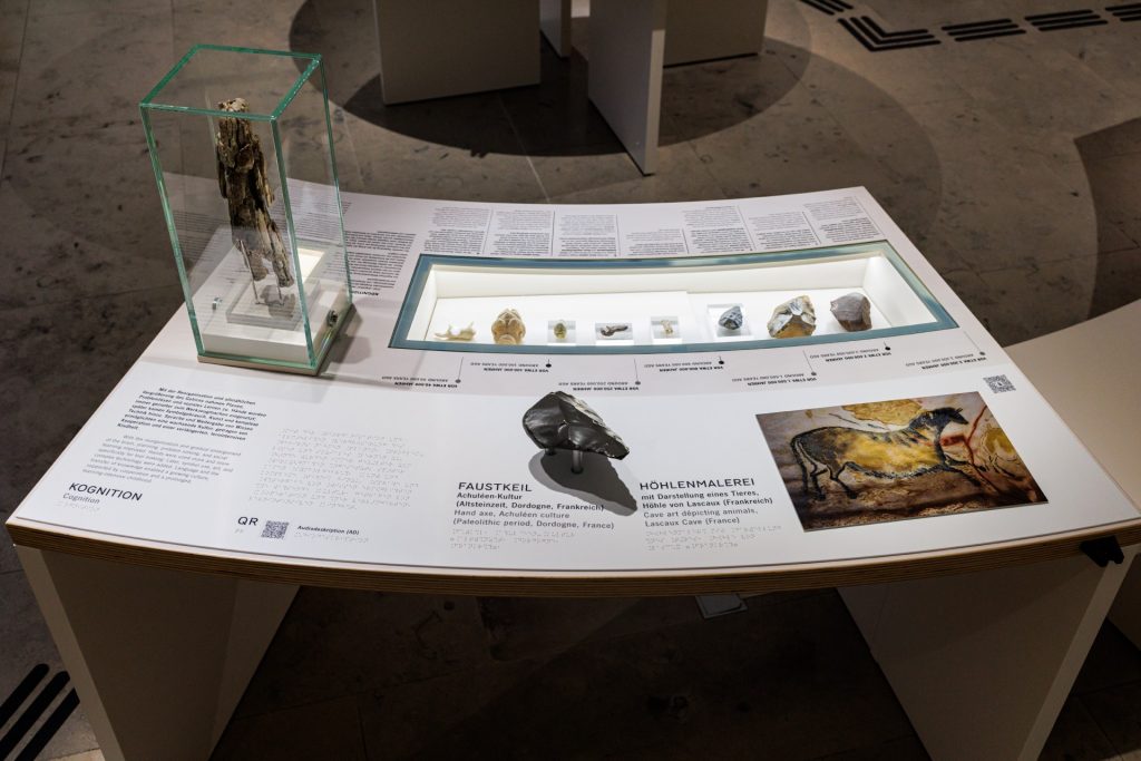 Modell eines Faustkeils und tastbare Grafik einer Höhlenmalerei