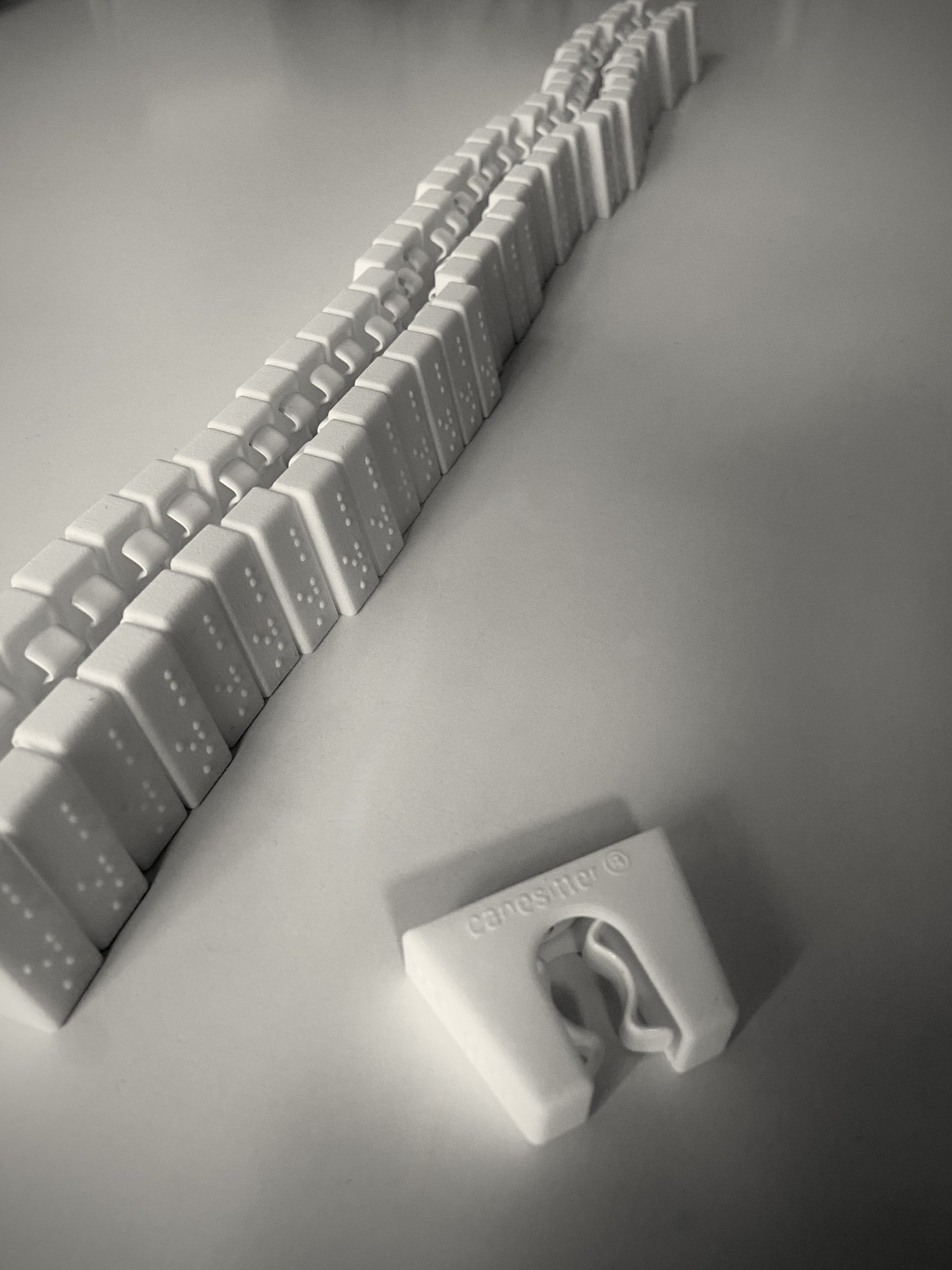 Großbestellung Canesitter für Staatliches Museum für Naturkunde Karlsruhe Steffen KJ. Zimmermann